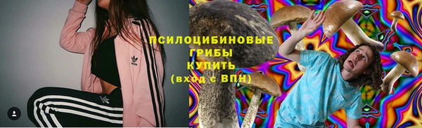 СК Рославль