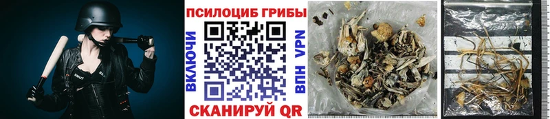 наркошоп  Куровское  Галлюциногенные грибы MAGIC MUSHROOMS 