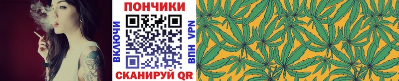 Марихуана индика  hydra как войти  Куровское 
